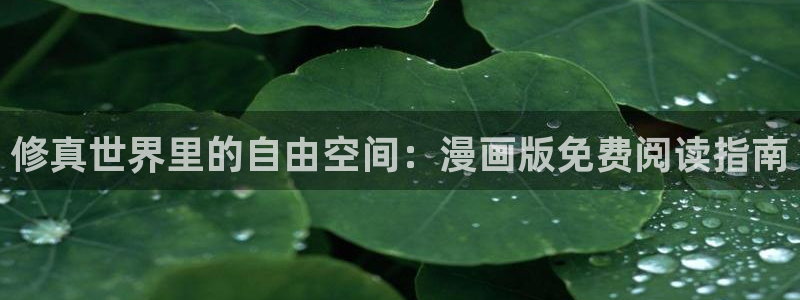 虫虫漫画热门漫画有哪些：修真世界里的自由空间：漫画版免费阅读指南